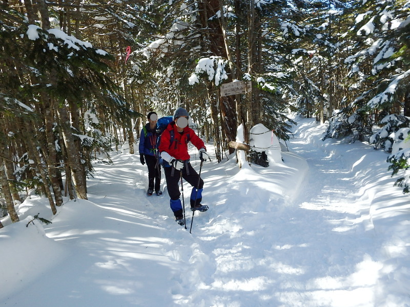 f0372177_21124715.jpg