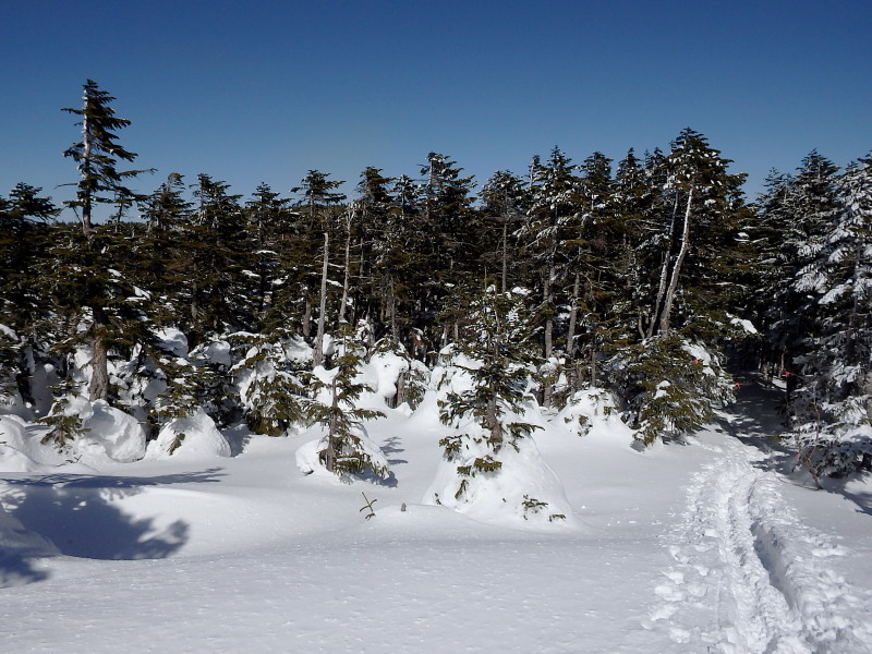 f0372177_21132409.jpg
