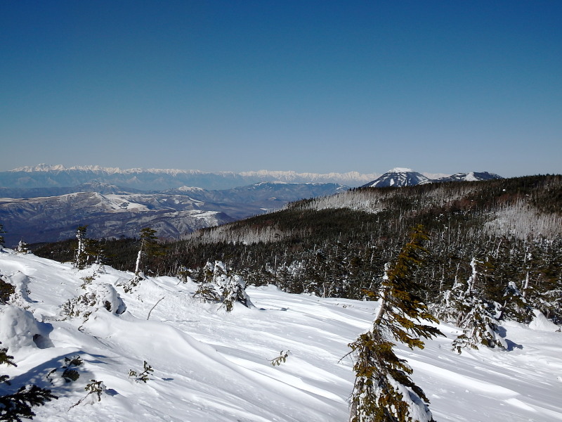 f0372177_21133000.jpg