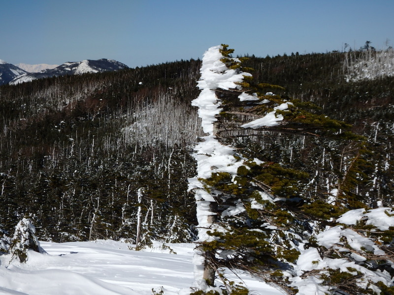 f0372177_21134727.jpg