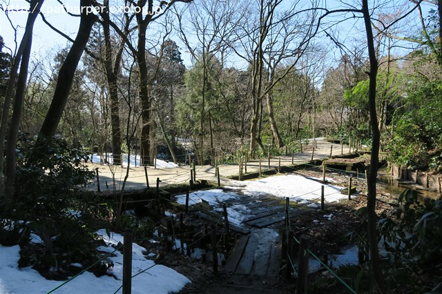 a0052986_844150.jpg
