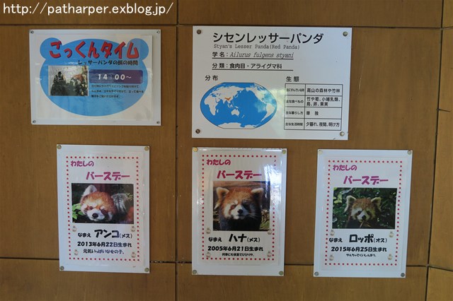 a0052986_89530.jpg