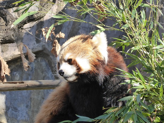 b0287088_15365857.jpg