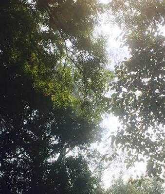 c0338191_02013322.jpg