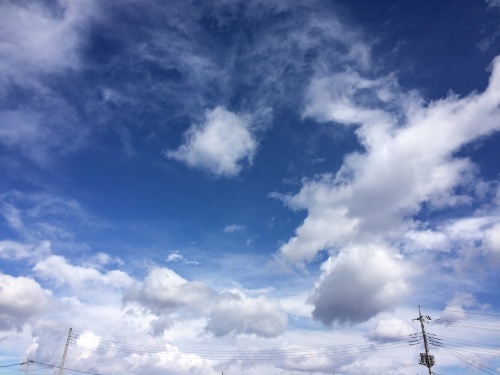 f0215094_12033163.jpg