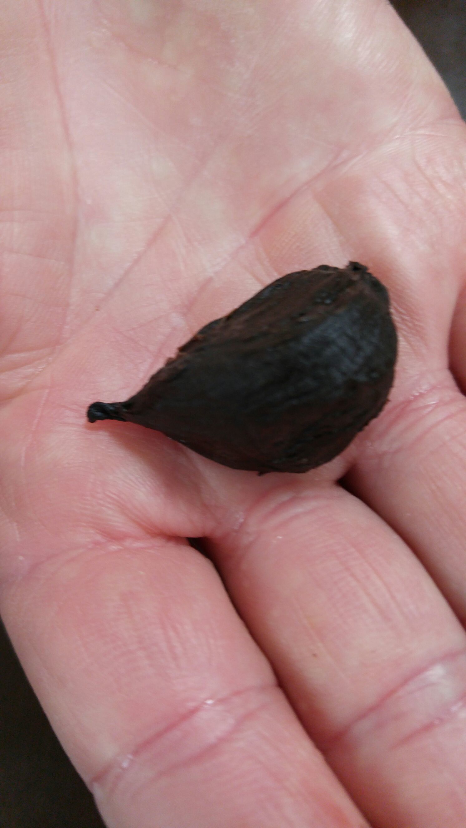 c0220700_15440544.jpg