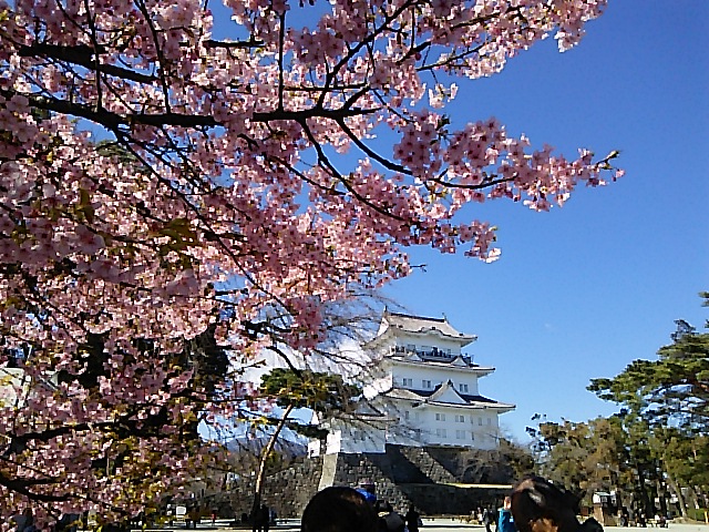 c0212604_12582935.jpg