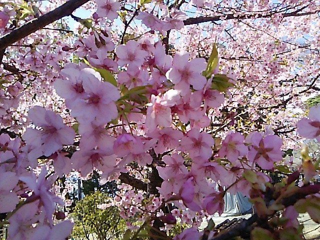 c0212604_1259337.jpg