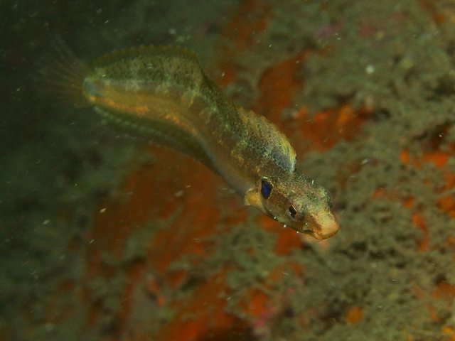d0175710_23501811.jpg