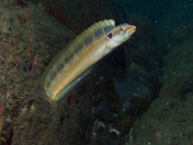 d0175710_2350422.jpg