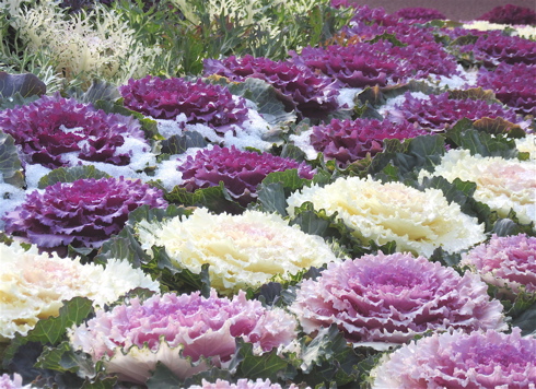 a0164011_14261690.jpg