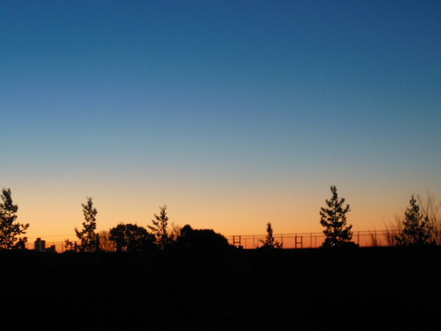 f0208812_12415410.jpg