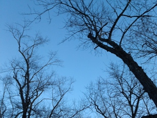 f0157327_3243142.jpg