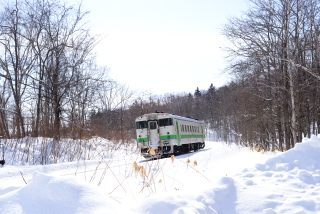 f0229527_13530943.jpg