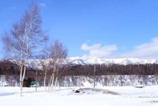f0229527_13543534.jpg