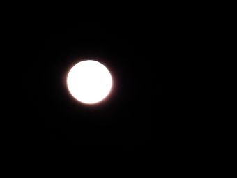 b0115330_07364184.jpg