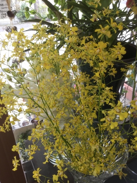 c0103830_21164772.jpg