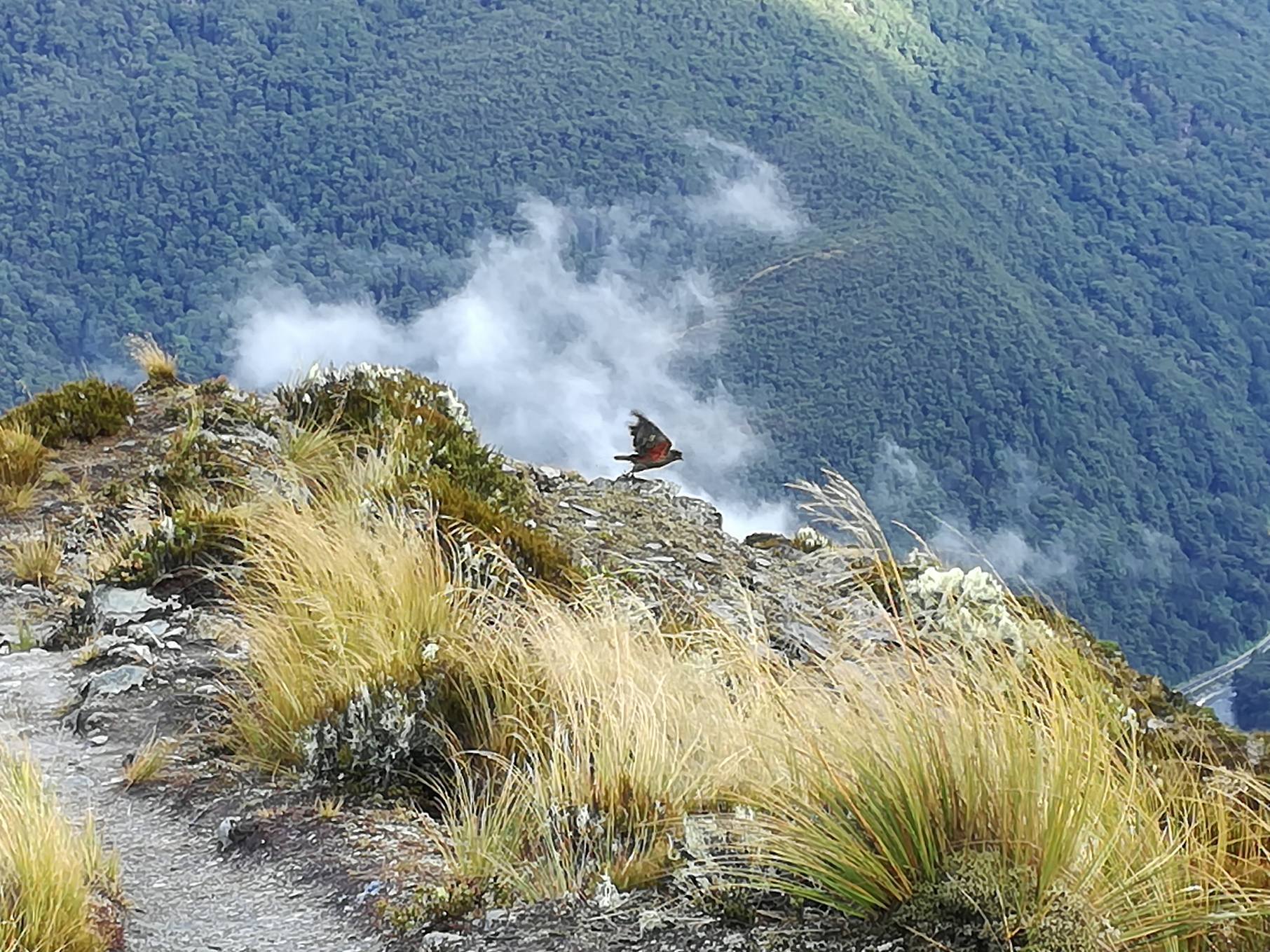 b0334436_13122556.jpg