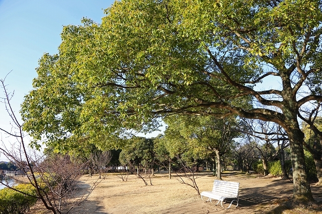 a0242438_20171373.jpg