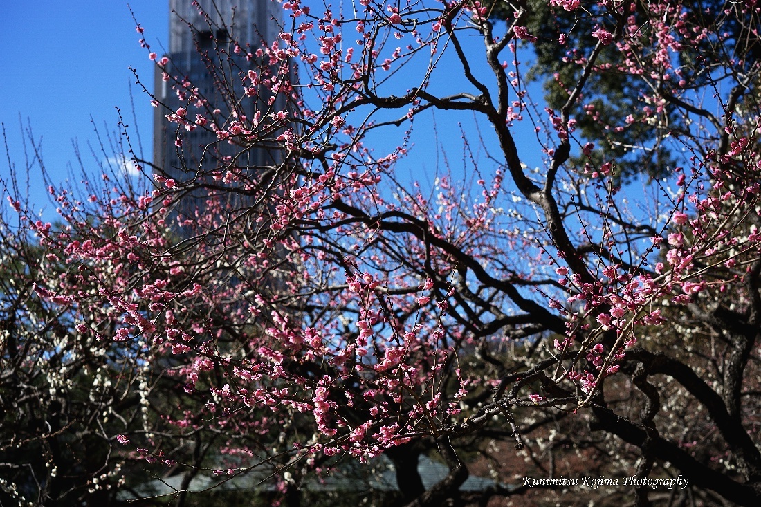 c0236843_21040403.jpg