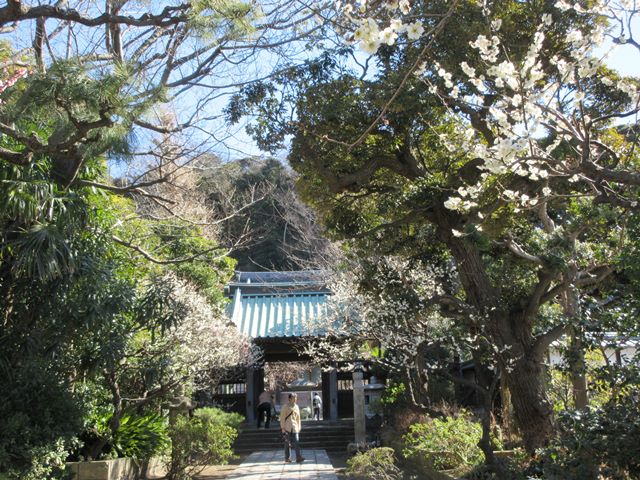 b0009849_18101318.jpg