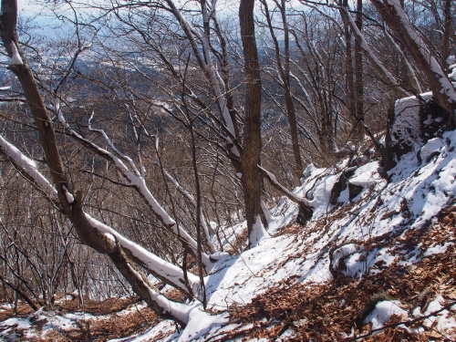 b0335256_09482187.jpg