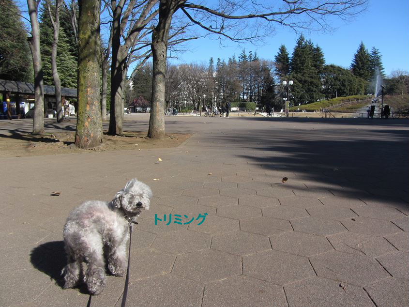 e0129656_22472253.jpg