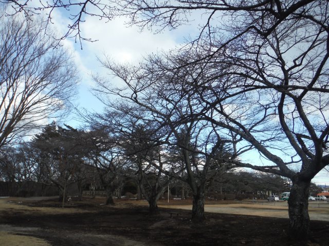 c0074157_22442678.jpg