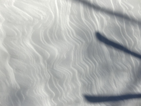 e0045768_22192983.jpg