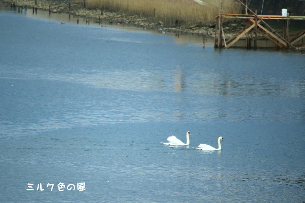 c0368870_22245620.jpg