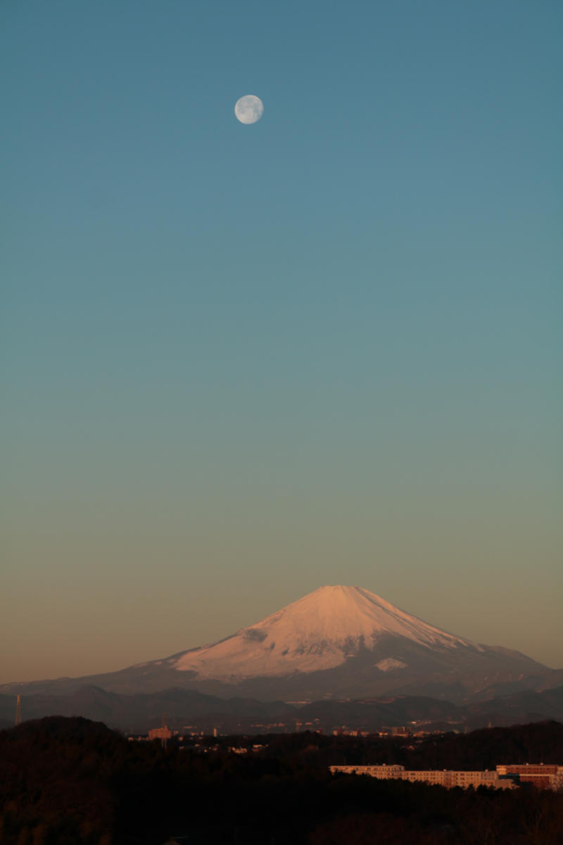 e0182674_14494721.jpg