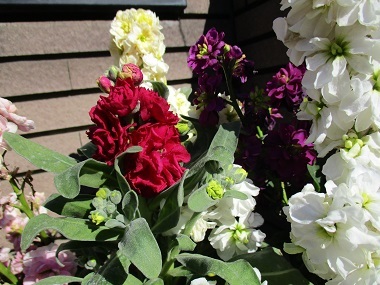 a0053480_09041907.jpg