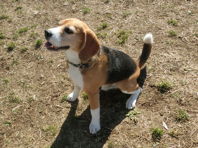 a0319693_7511100.jpg
