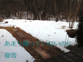 b0200310_10275098.jpg