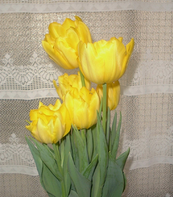 a0019212_17390574.jpg