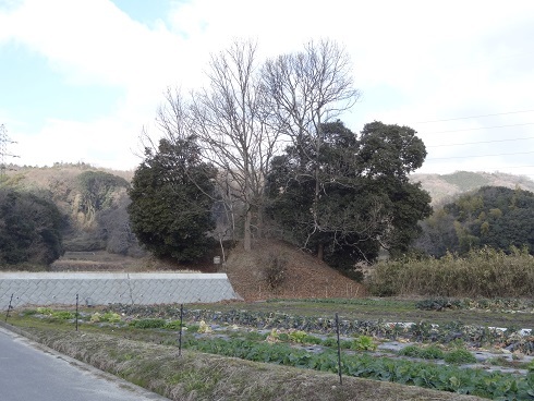 f0000521_13004811.jpg