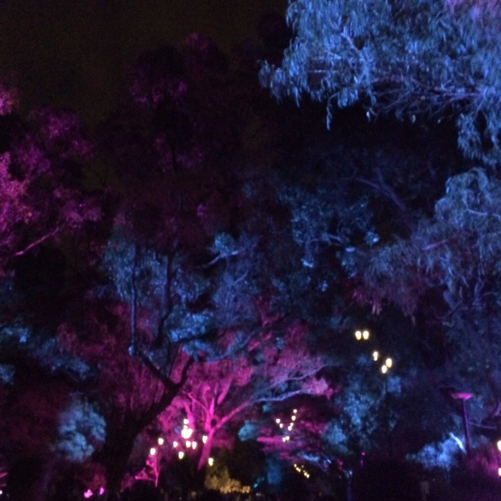 c0025422_09485795.jpg