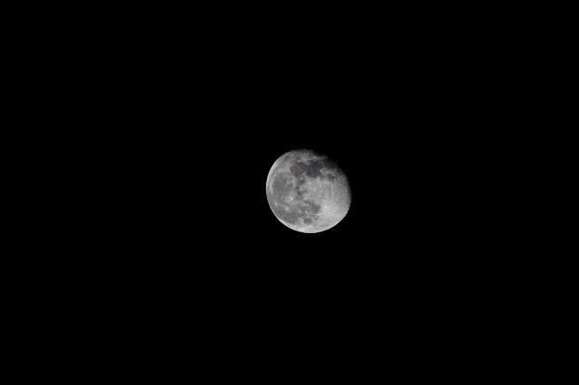 c0309734_03042568.jpg