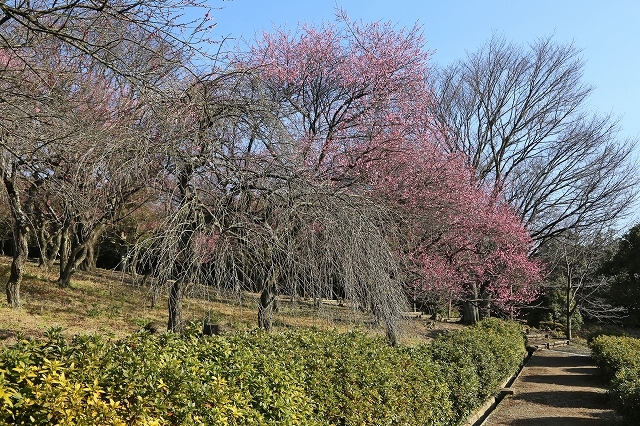 a0242438_20041910.jpg