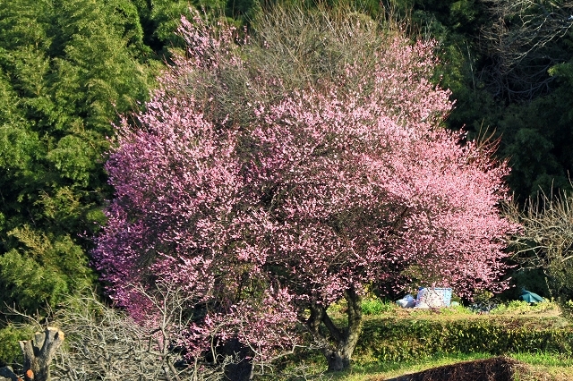 a0242438_20041927.jpg