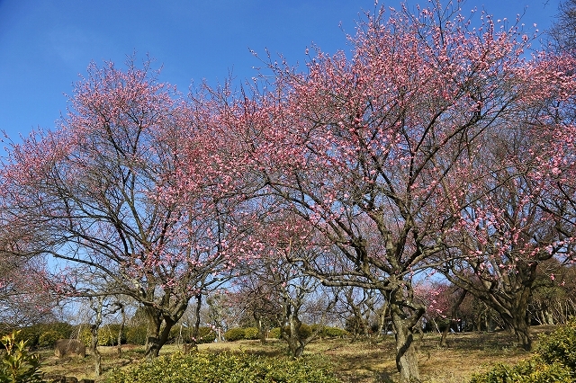 a0242438_20042033.jpg