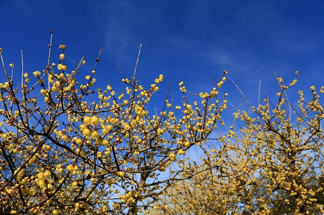 a0242438_20061163.jpg