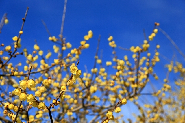 a0242438_20062477.jpg