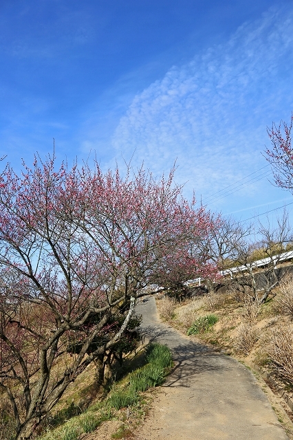 a0242438_20074130.jpg
