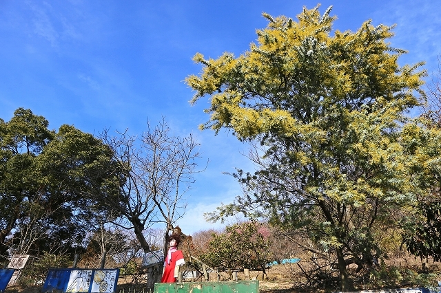 a0242438_20074210.jpg
