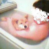 b0080342_08380051.jpg