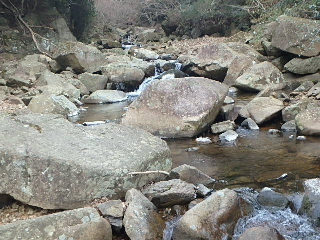 f0334143_975039.jpg