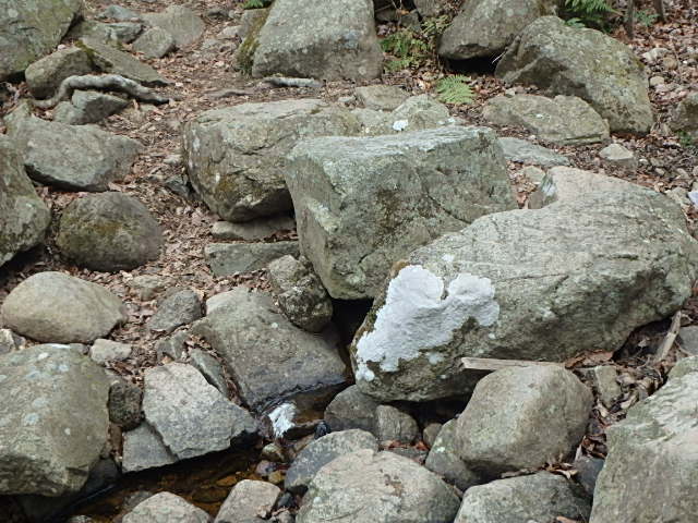 f0334143_99834.jpg
