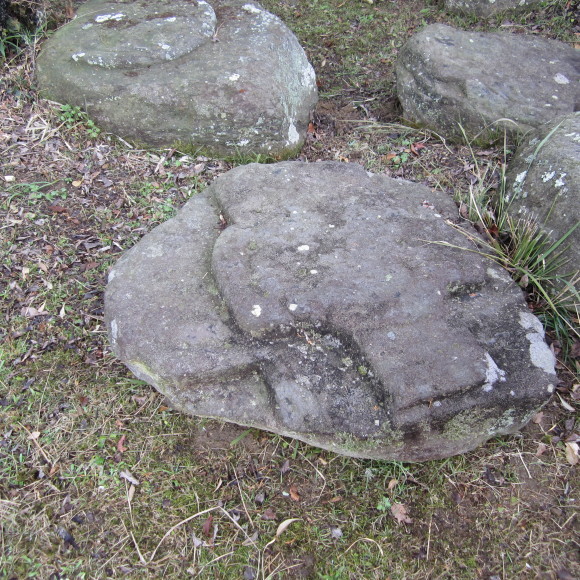 a0237545_12321844.jpg