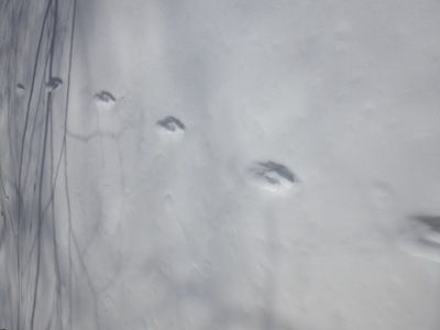 b0126549_20462493.jpg